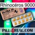 Rhinocéros 9000 41